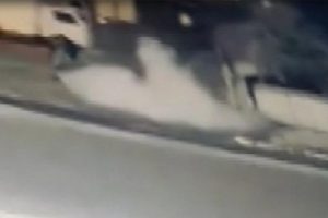 Polise atmak istediği patlayıcı elinde patladı
