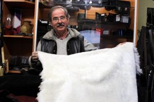 Bursalı vatandaşın yeni g&ouml;zdesi koyun postları