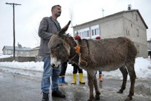 Donmak &uuml;zere olan eşeğe sahip &ccedil;ıktı