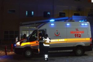 Osmaniye'de domuz gribine bir kurban daha