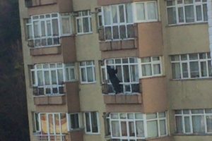 14. katta &ouml;l&uuml;m&uuml;ne temizlik