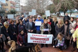&Ccedil;anakkaleli hayvanseverlerden 'zehirli yiyecek' tepkisi