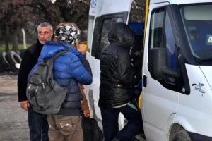 &Ccedil;anakkale'de zeytinlikte 35 ka&ccedil;ak yakalandı