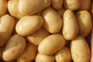 Hamilelikte yenilen patates diyabet yapıyor!