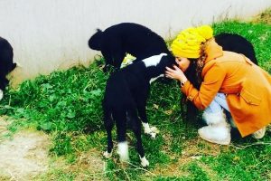 Emine Erdoğan'ı canlandıracağı filmden alacağı paranın yarısı sokak hayvanlarına