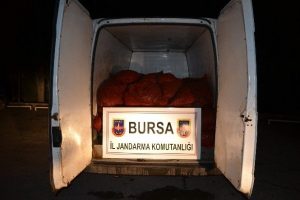 Bursa'da ka&ccedil;ak midyeye ge&ccedil;it yok