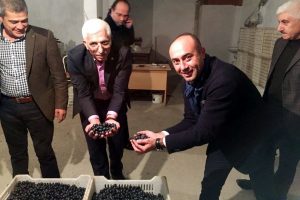 Mudanya Zeytin Tarım Satış Kooperatifi dev alım