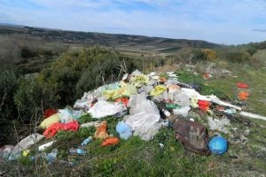 Bursa Mudanya'nın zeytinliklerini &ccedil;&ouml;pl&uuml;ğe d&ouml;nd&uuml;rd&uuml;ler