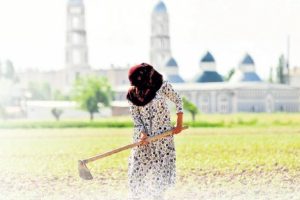 &Ouml;ğretmenlik d&uuml;şlerken mevsimlik iş&ccedil;i oldu