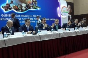 Bakan &ccedil;elik, "Kullanalım ama bedelini de &ouml;deyelim"