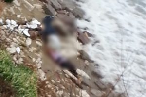 Balıkesir'de kıyıda vatandaşlar tarafından bulundular