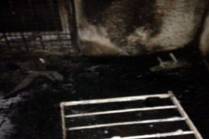 Van'da okul ve kız pansiyonuna molotoflu saldırı