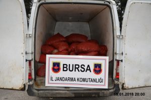 Bursa'da 1 ton 200 kilogram ka&ccedil;ak midye ele ge&ccedil;irildi