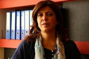 HDP'li Beştaş'tan Cizre'ye olgu tespiti başvurusu