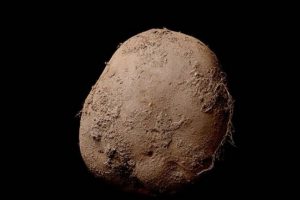Bu patates fotoğrafı tam bir milyon dolara satıldı!