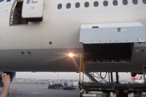 Havada u&ccedil;ağın kapısını a&ccedil;maya &ccedil;alışan İsve&ccedil;li panik yarattı