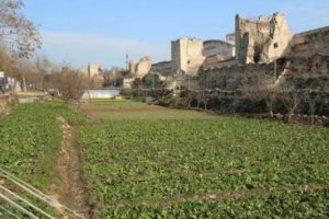 Yedikule Bostanları: Bostancılar tedirgin, uzmanlar uyarıyor