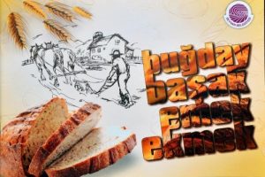 Bayat ekmeğin kitabını yazdı