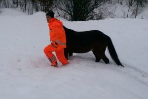 4 g&uuml;n karda mahsur kalan atı iftaiye kurtardı