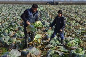 Bursa'da dondurucu soğukta 40 liraya 9 saat mesai!