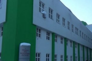 Giresun'da domuz gribi paniği!