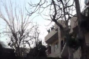 Polis, damlarda uyuşturucu satıcılarını kovaladı
