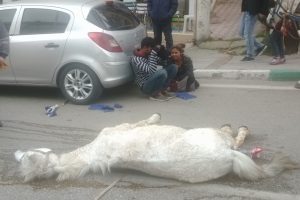 Bursa'da can dostunun başından bir an olsun bile ayrılmadı...
