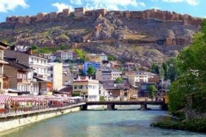 2015 yılında cinayet işlenmeyen tek il