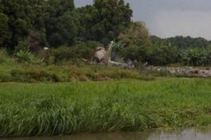 Avustralya'da k&uuml;&ccedil;&uuml;k u&ccedil;ak d&uuml;şt&uuml;: 3 &ouml;l&uuml;, 1 kayıp