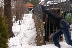 Ayıyla şaka elinden etti!