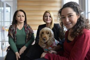 K&ouml;pek 'Kiraz'ın siteden tahliye davasında ret kararı