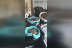 Villası uyuşturucu imalathanesi &ccedil;ıktı