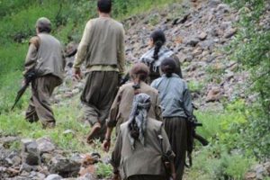 Cizre'deki o binada dağ kadrosu liderleri var iddiası