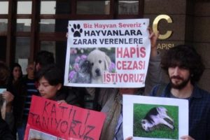 &Uuml;niversitede k&ouml;peklerin zehirlenmesi davası başladı