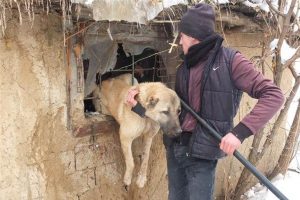 Muş'ta parmaklıklara sıkışan k&ouml;pek kurtarıldı