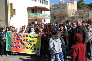 DBP'lilerden Cizre protestosu