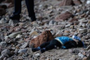 AFP foto muhabiri Ozan K&ouml;se g&ouml;&ccedil;men faciasını anlattı