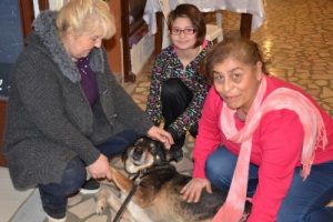 K&ouml;peklerin tedavi i&ccedil;in kermes d&uuml;zenlediler