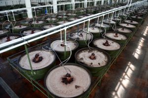 Marmarabirlik saniyede 1160 gram &uuml;r&uuml;n satıyor