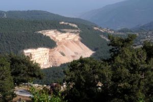 Taş ocağı katliamını arılar durduracak