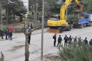Tramvay yolundaki ağa&ccedil;lar biri hari&ccedil; s&ouml;k&uuml;ld&uuml;