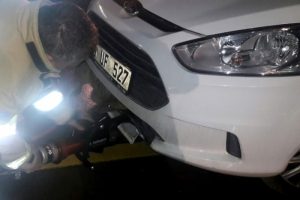Bursalı s&uuml;r&uuml;c&uuml;n&uuml;n aracına tilki sıkıştı!