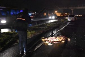 Otomobilin &ccedil;arptığı kadın hayatını kaybetti