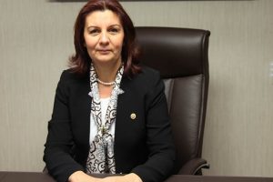 CHP Bursa Milletvekili Karabıyık'tan başkanlık sistemi ve yeni anayasa a&ccedil;ıklaması