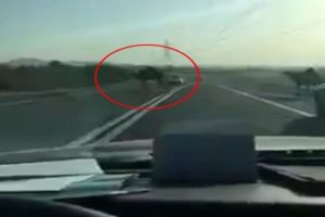 Yola deve &ccedil;ıkınca kaza da ka&ccedil;ınılmaz oldu