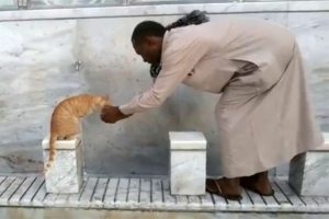 Kutsal topraklardan insanlık dersi