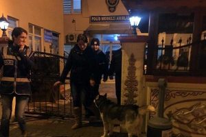 Sakarya'da fuhuş operasyonu: 64 g&ouml;zaltı