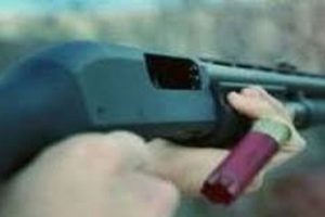 Van'da polise silahlı saldırı