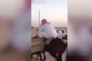 Aşırı şişman adamı at bile taşıyamadı