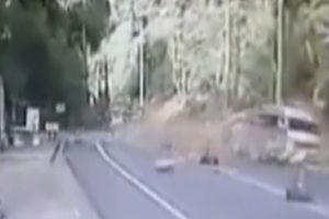Tayland'da inanılmaz olay: Karayoluna ağa&ccedil; d&uuml;şt&uuml;!